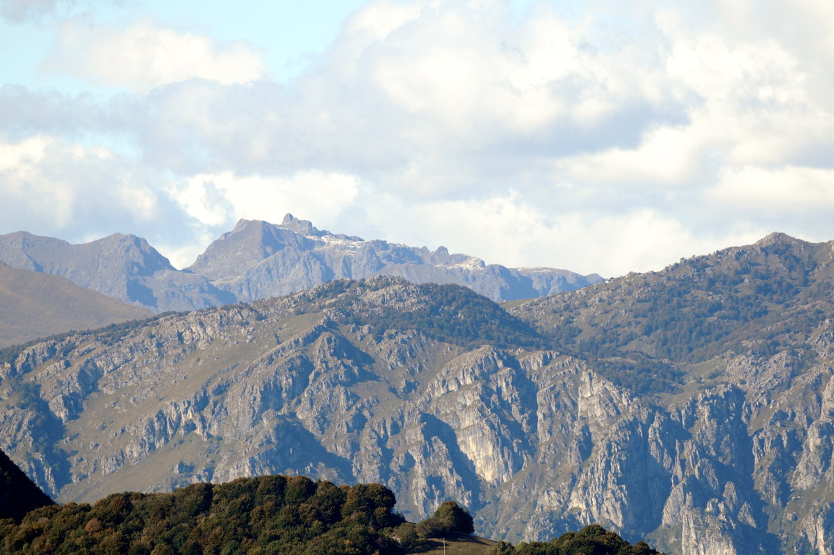 Aiuto riconoscimento Orobie, Prealpi bergamasche e bresciane